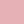 Pink rose