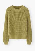Raglan sweater, Lime, webstill